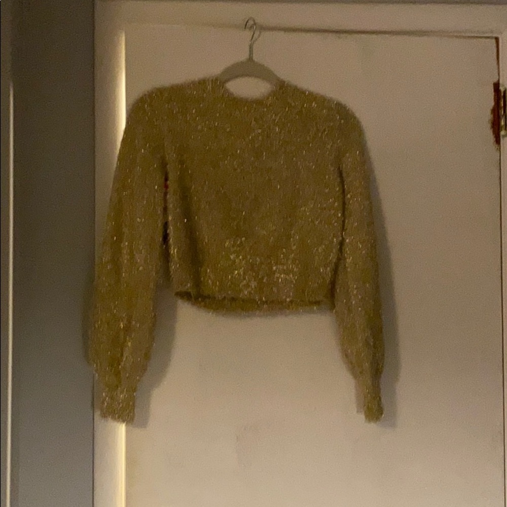 Aritzia Sunday best kitten sweater